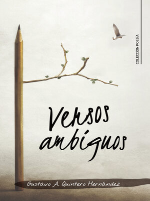 cover image of Versos ambiguos